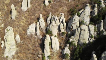 Similar image 22503516