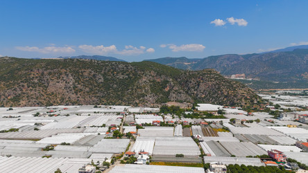 Similar image 22491355