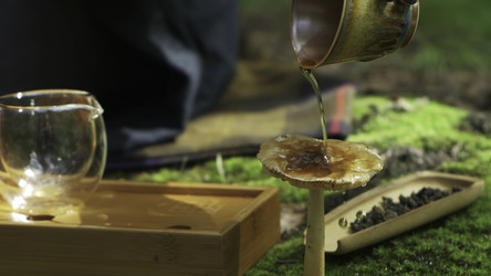 Similar image 22499687