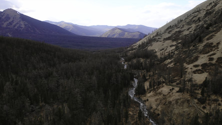 Similar image 22499701