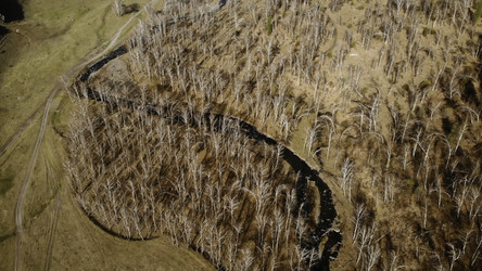 Similar image 22499720