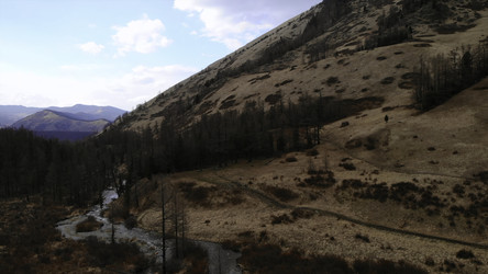 Similar image 22499853