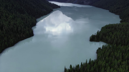 Similar image 22499885