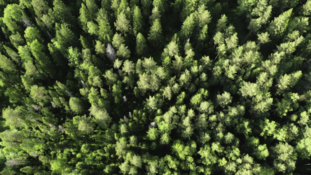 Similar image 22499900