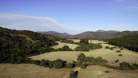 Similar image 22499981