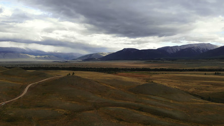 Similar image 22503385