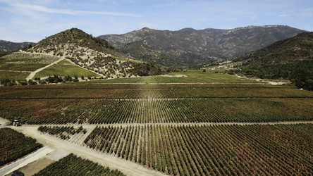 Similar image 22503399