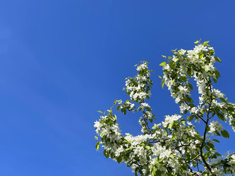 Similar image 22494209