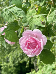 Similar image 22494225