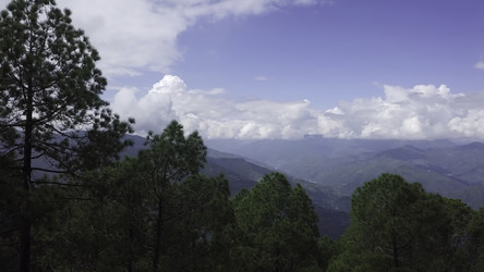 Similar image 22503549