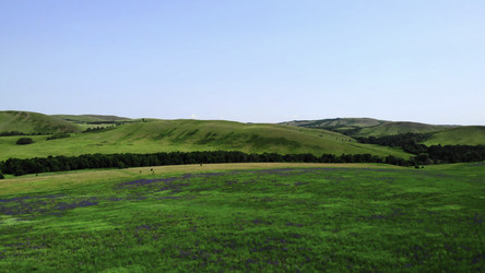 Similar image 22503578