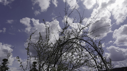 Similar image 22503593