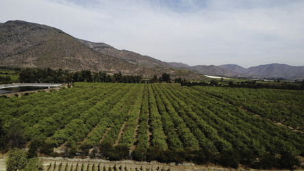 Similar image 22503623