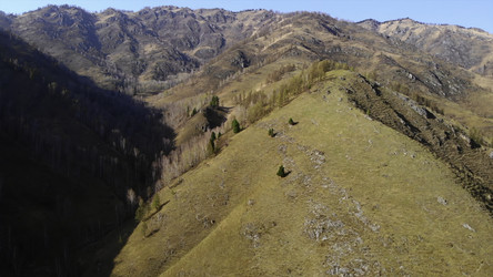 Similar image 22499706