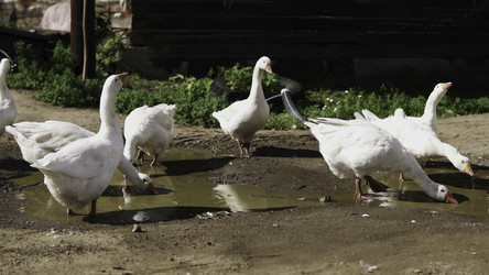 Similar image 22499723