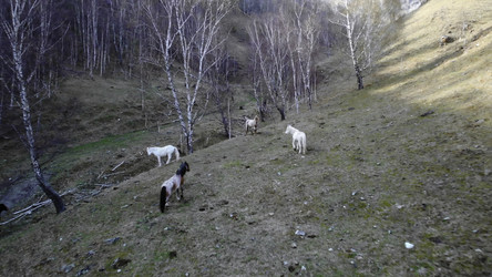 Similar image 22499767