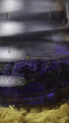 Similar image 22499784