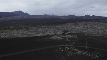 Similar image 22499786