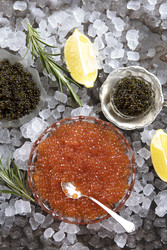 Similar image 22501863