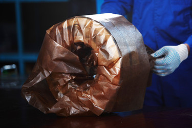 Similar image 22501864