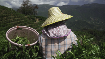 Similar image 22499815