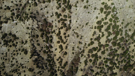 Similar image 22499816