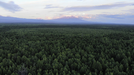 Similar image 22504369