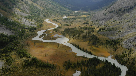 Similar image 22504411