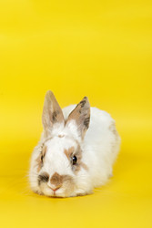 Similar image 22494327