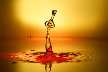 Similar image 22494328