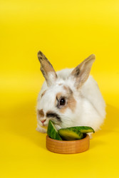 Similar image 22494329