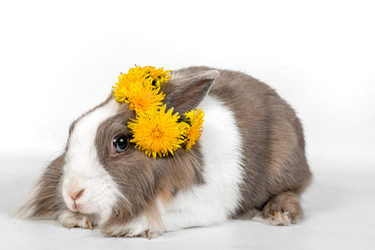 Similar image 22494332