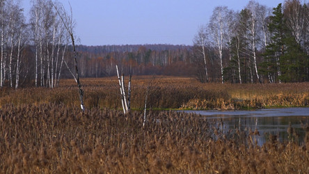 Similar image 22504641