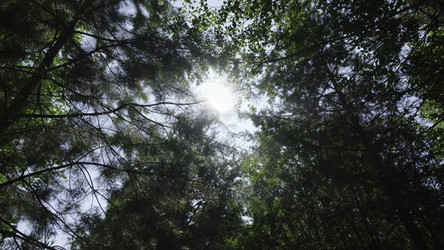 Similar image 22504653