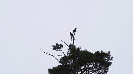 Similar image 22504700