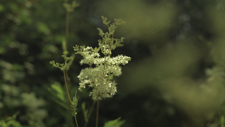 Similar image 22530962