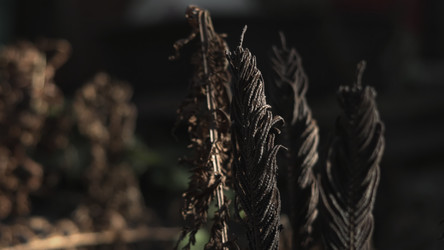 Similar image 22531099