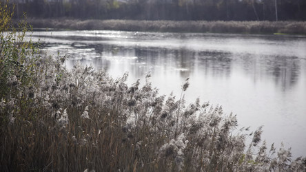 Similar image 22531119