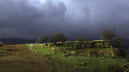 Similar image 22531217