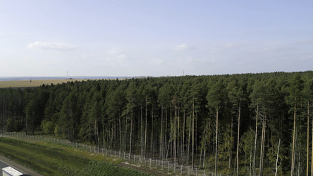 Similar image 22531301