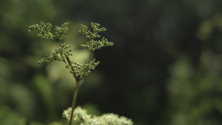 Similar image 22531443