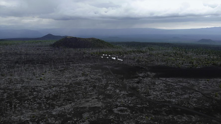 Similar image 22531512