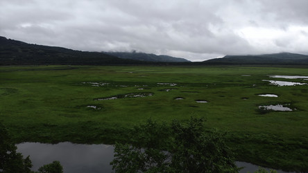 Similar image 22531583