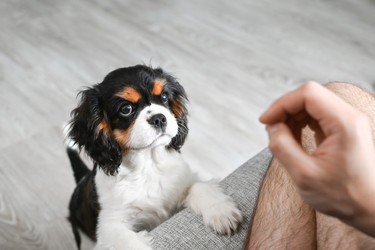 Similar image 22494315