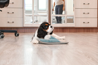 Similar image 22494316