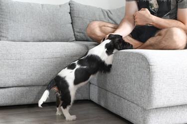 Similar image 22494320