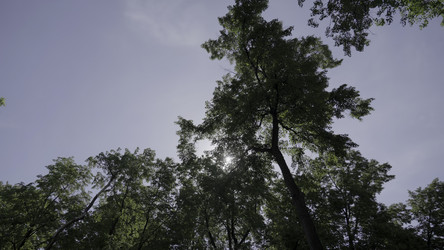 Similar image 22502441