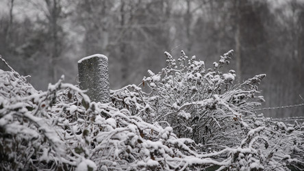 Similar image 22502639