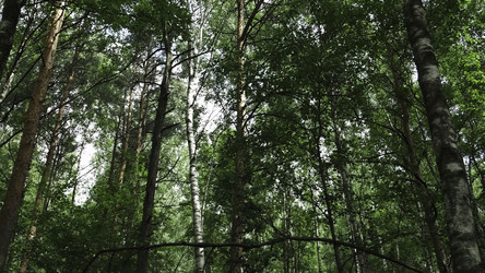 Similar image 22502964