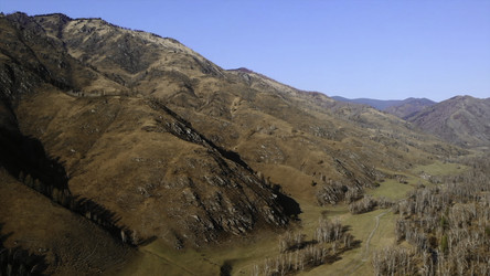 Similar image 22503978